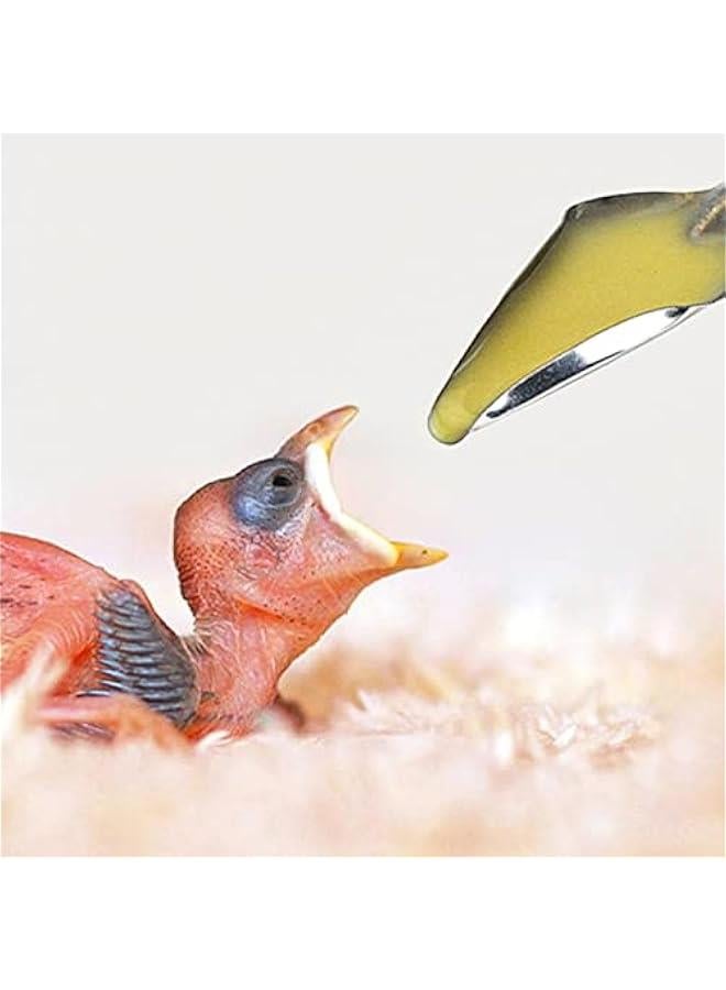 Pet Baby Bird Special Feeding Scoops Medicine Spoons Hand Feeding Spoons for Cockatiel Parrot Parrot Feeding Spoon  - Image 3