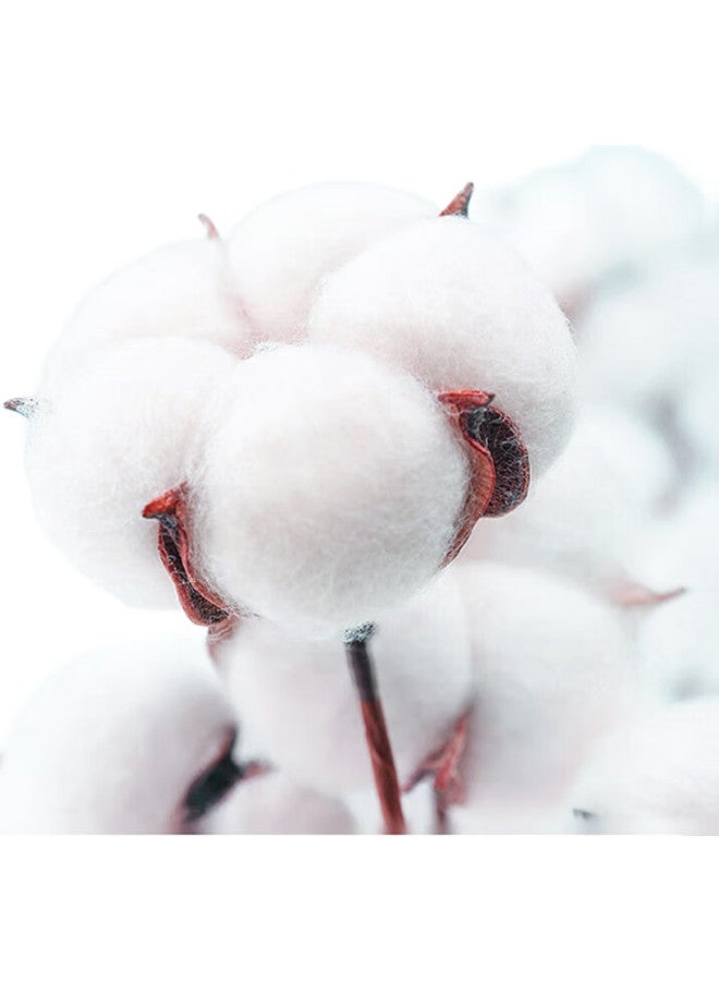 JD.com Jingzao 90G Antibacterial Pure Cotton Towel, Class A Soft Quick-Drying Xinjiang Cotton, Thickened Face Towel, 2 Pieces, Blue + Gray - Image 3