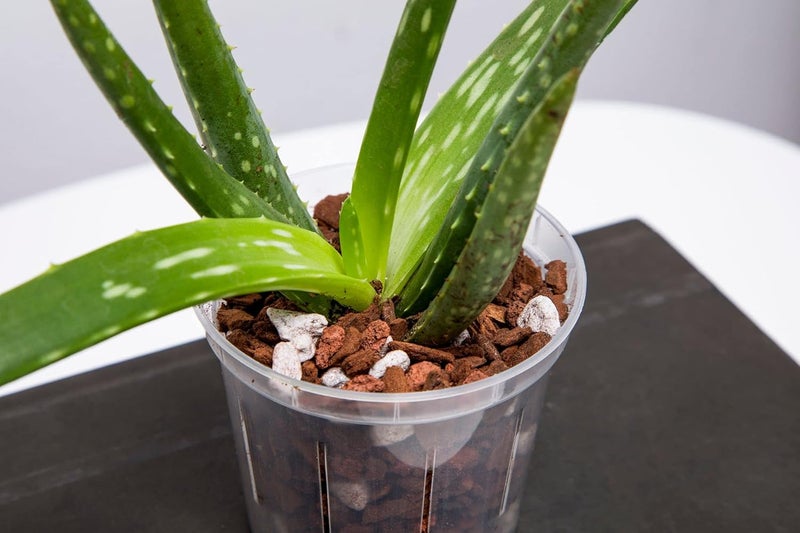 rePotme Orchid Pot Growers Assortment (4 Slotted Clear Orchid Pots - 1 Each of 3, 4, 5, 6 Inch) - Premium Orchid Planters, Orchid Pots with Holes for Repotting - Image 4