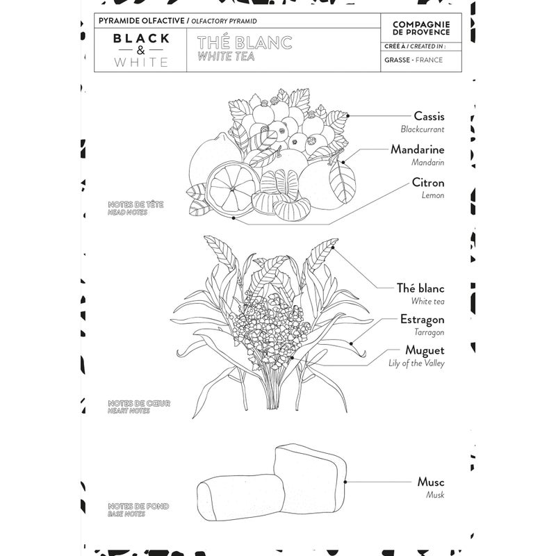 La Compagnie de Provence Compagnie de Provence - Liquid Soap and Luxury Hand Cream - White Tea - Image 4