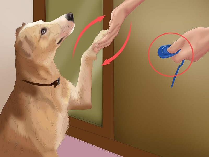 Sage Square Combo of Adjustable Pet Dog and Puppy Coach Canine Commands Quiet Control Training Whistle & Clicker (Pack of 2) - Image 4