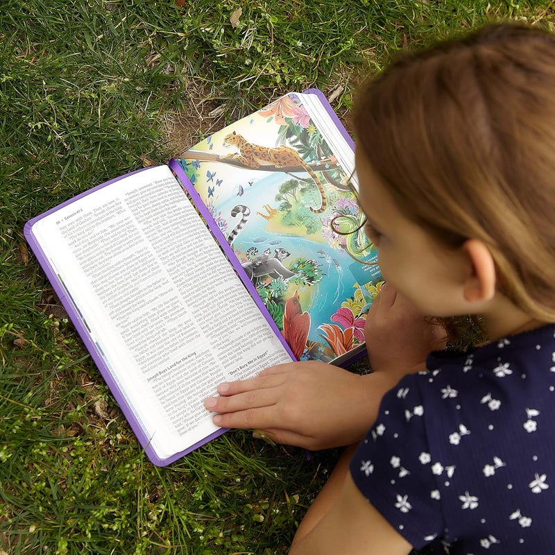 ICB، الكتاب المقدس، غلاف صلب - Image 5