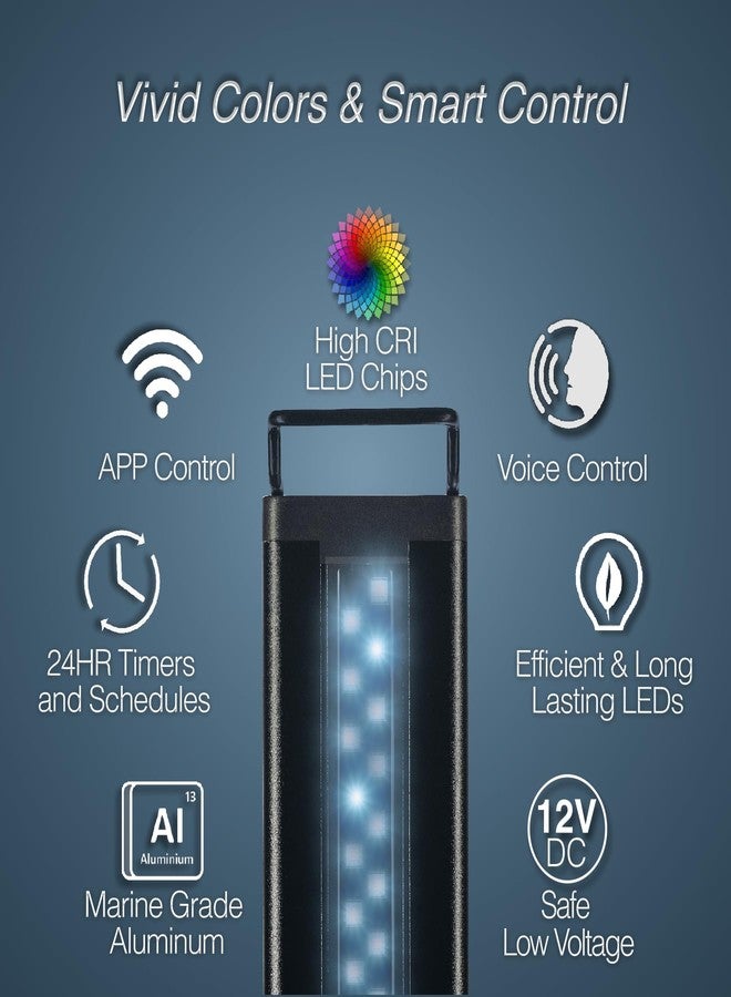 كارانت مصباح LED ذكي من CURRENT USA ColorPlus لأحواض أسماك المياه العذبة وأحواض التيراريوم، مع تحكم عبر التطبيق والصوت | متوافق مع Alexa وGoogle Home | ألوان زاهية للغاية لأحواض الأسماك | مصنوع من الألومنيوم (للأحواض من 24 إلى 35 بوصة) - Image 2