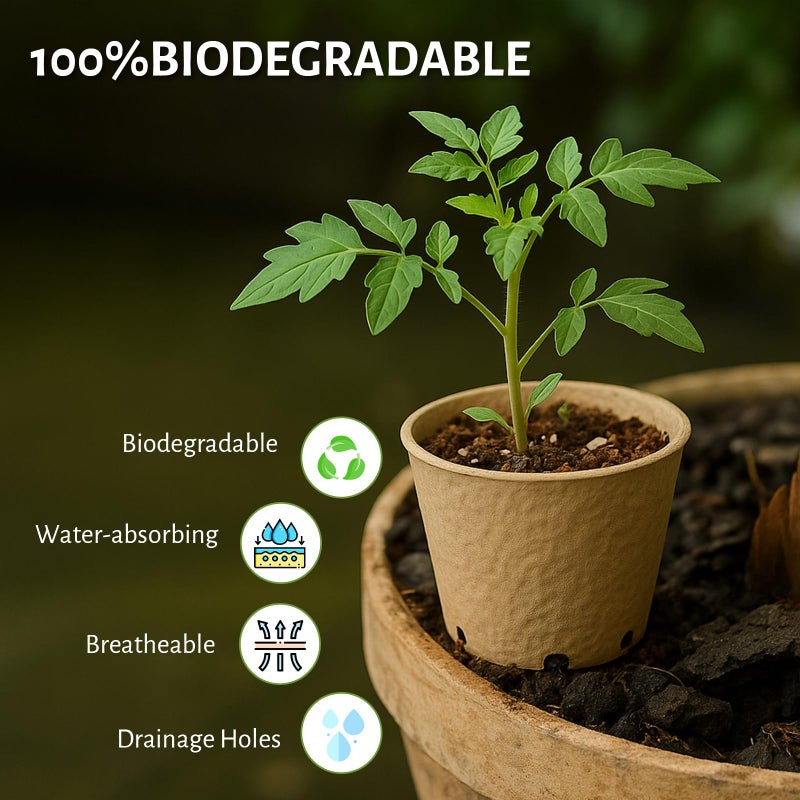 Bluepro 120 Packs 3.15 Inch + 4 Inch Peat Pots, Biodegradable Pots for Seedlings with Drainage Holes, Herb Seed Starter - Image 3