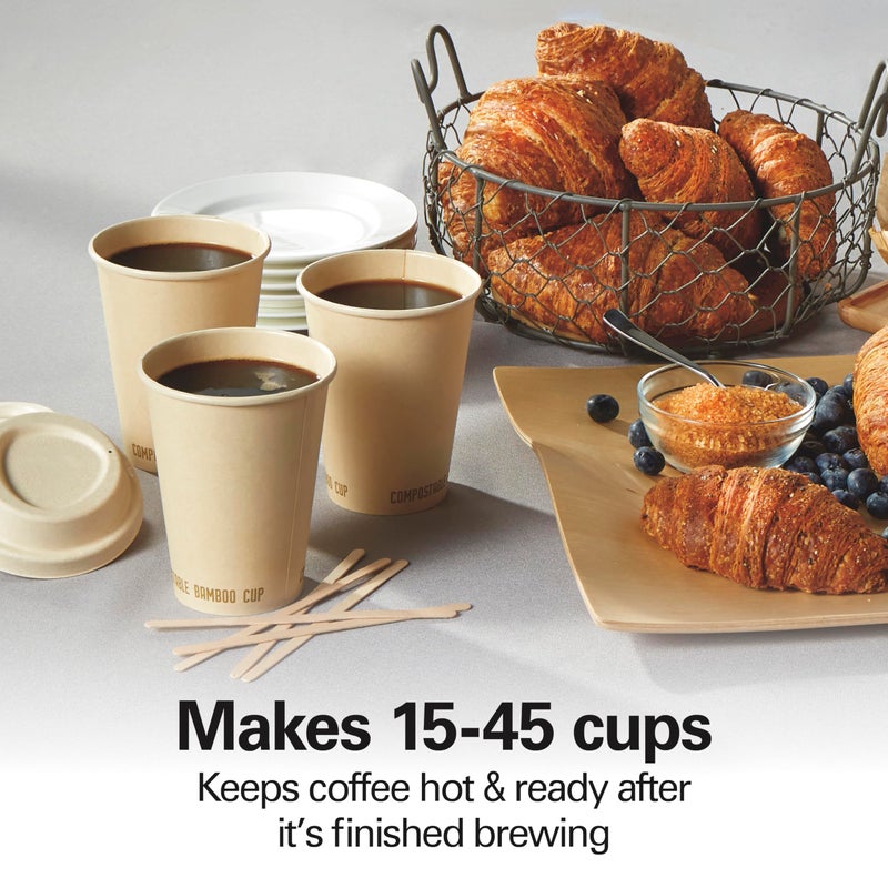 Hamilton Beach 45 Cup Fast Brew Coffee Urn and Hot Beverage Dispenser, 40521 - Image 3