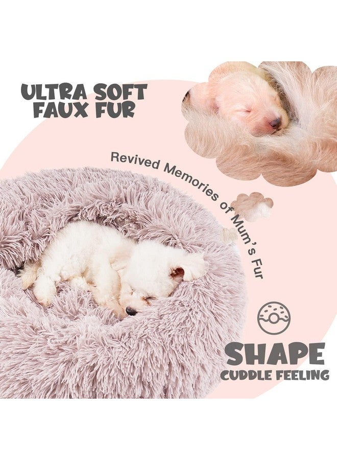 هايماكس أسرّة هيماكس للكلاب الصغيرة، أسرّة دونات للكلاب مع بطانية، سرير مريح للكلاب قابل للغسل (20 بوصة/26 بوصة/35 بوصة) بيج - Image 5