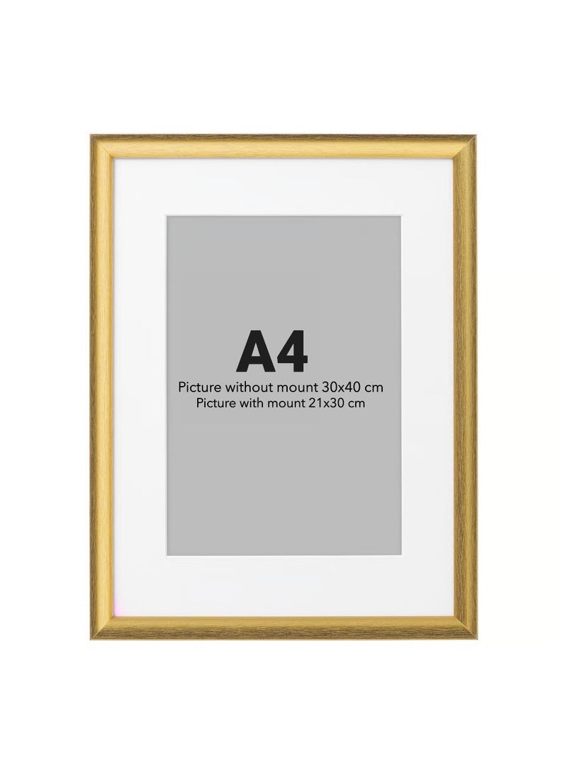 Selecto Hub Wall Picture Frame, Wall Hanging Photo Frame, Mounted Frame for Home, Office (Plastic & Fibreboard) Gold 30x40cm - Image 1