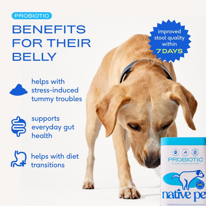 Native Pet Probiotics for Dogs - Dog Probiotics Powder for Digestive Health, Gut Support, & Immune Boost â€“ Vet-Formulated Powder for Maximum Potency with Digestive Enzymes & Prebiotics - 30 Scoops - Image 2