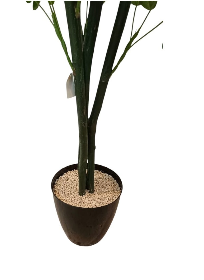 Generic Evergreen Artificial Potted Plant – Natural Look Decor  - Image 2