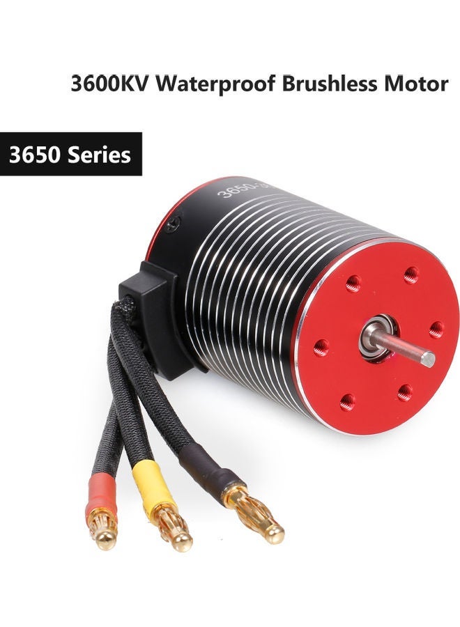 NIBEMINENT 3650 Off-Road Brushless Motor for Crawler Car - Image 4