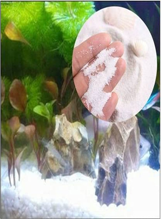 Samariya Natural Aquarium White Sand for Lawn,Garden, Plants, Freshwater & Aquarium Decor ETC. (500 GM) - Image 3