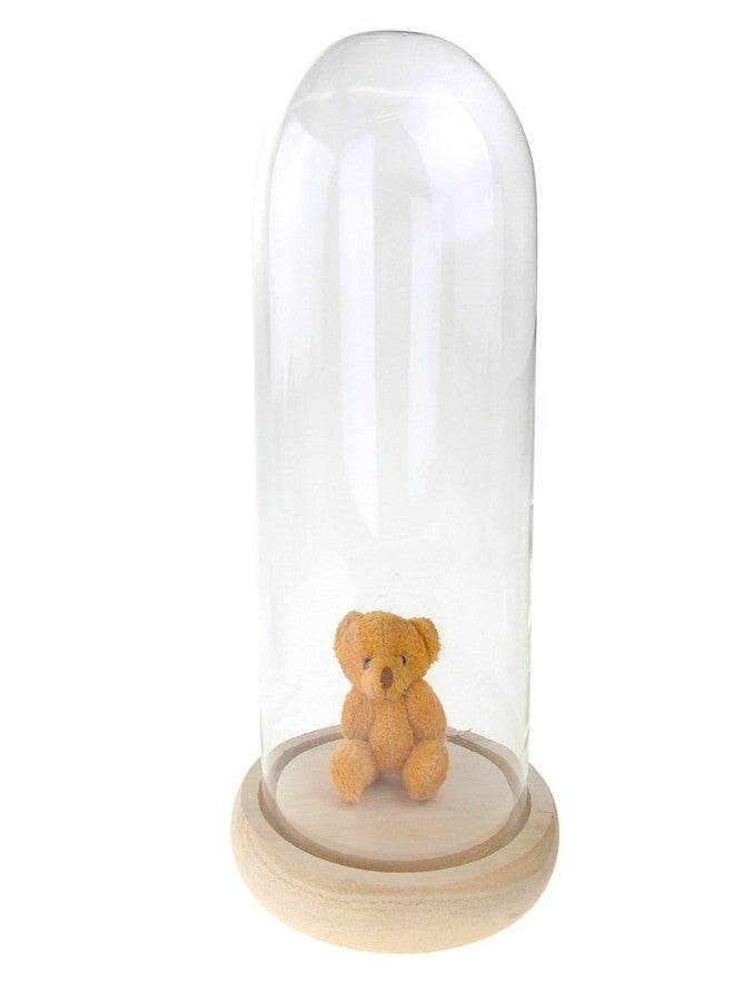 Homeford Clear Glass Dome Display with Wooden Base, 10-Inch - Image 2