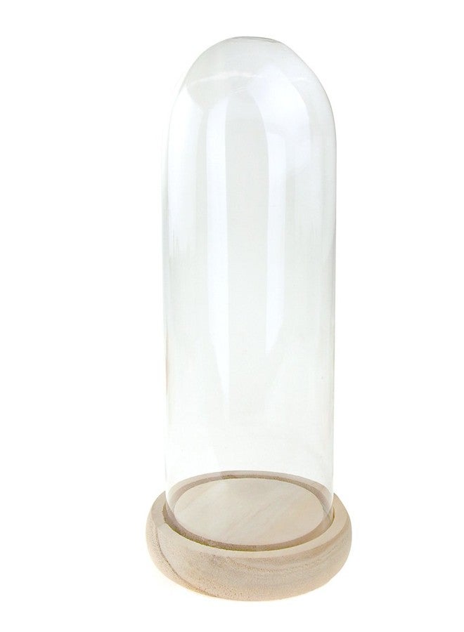 Homeford Clear Glass Dome Display with Wooden Base, 10-Inch - Image 1