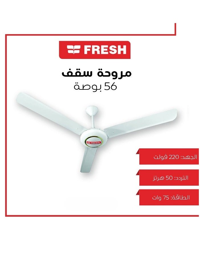 Fresh Fresh ceiling fan, 56 inches, Rafale, set of 3 fans  - Image 4