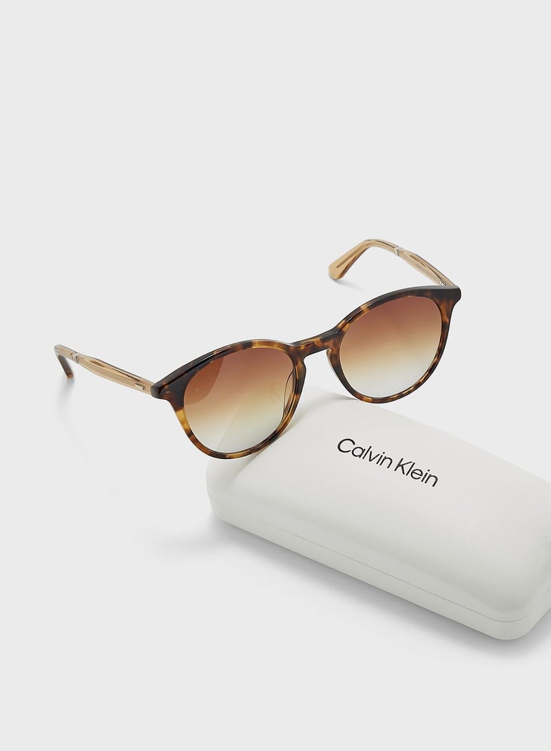 كالفن كلاين نظارة شمسية وايفايرر - Image 4
