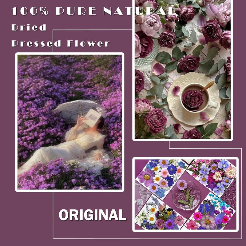 MIKIYA 91Pcs Purple Pressed Dried Flowers for Resin Molds, Assorted Real Natural Bulk Dry Floral Leaves for DIY Art Crafts, Epoxy Jewelry, Candle, Soap Making, Nails Decors Gifts - Image 2