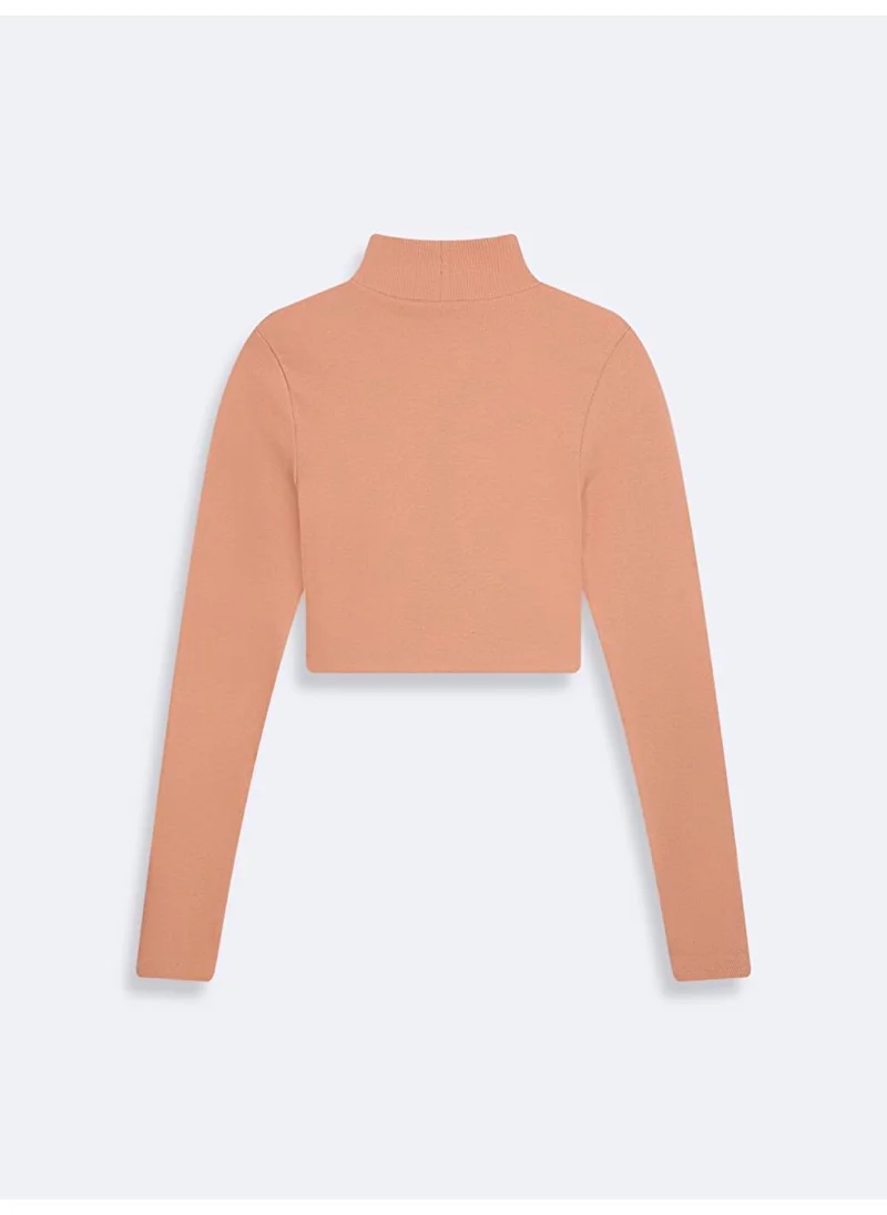 LTB Thin Ribbed Stand Collar Crop Sweatshirt
