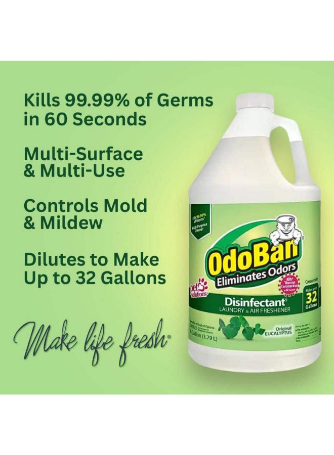 ODOBAN Eucalyptus Scented Laundry and Air Freshener Disinfectant Clear 1 Gal 911061-G4 - Image 4