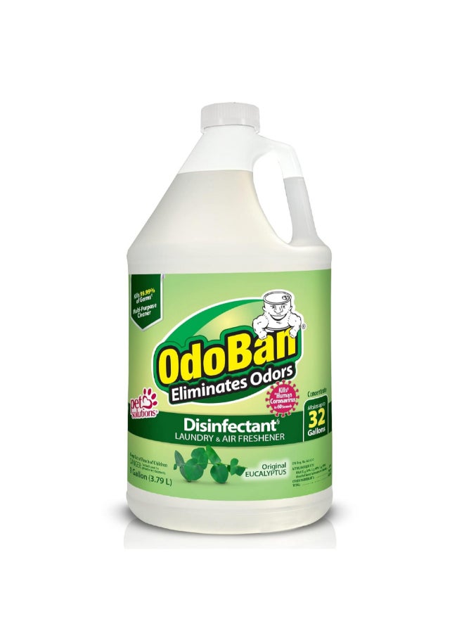 ODOBAN Eucalyptus Scented Laundry and Air Freshener Disinfectant Clear 1 Gal 911061-G4 - Image 1