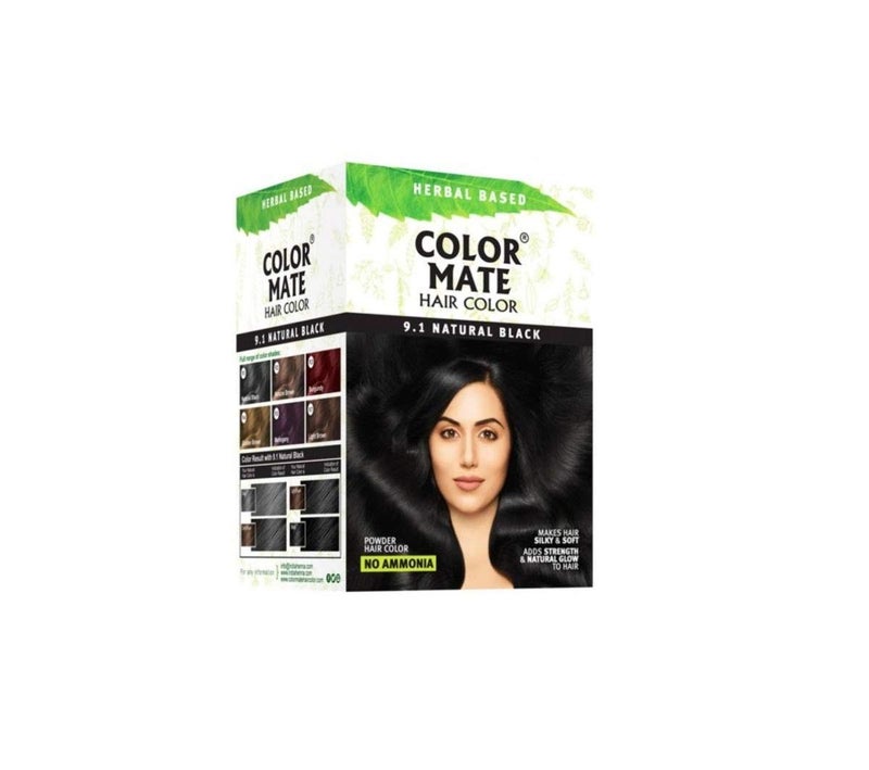Color Mate Herbal Based Ammonia Free Hair Color with Ayur Product in Combo (9.1-Natural Black) - Image 1