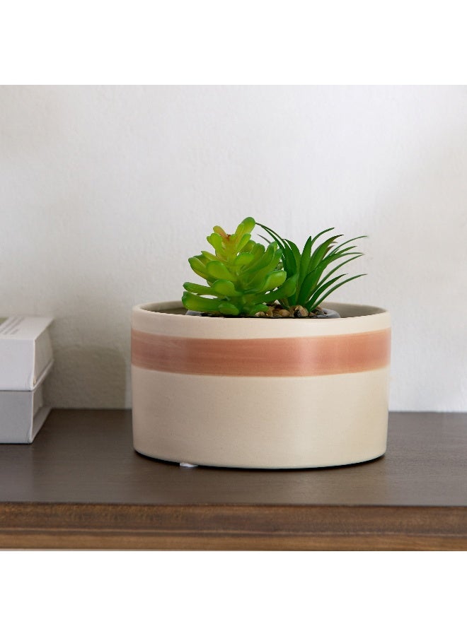 Home Box وعاء نبات فيسوس دولوميت - 14.5x14.5x8 سم - Image 1