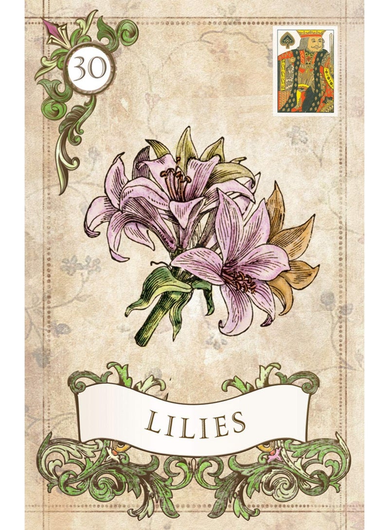 NIBEMINENT Old Style Lenormand - Image 5