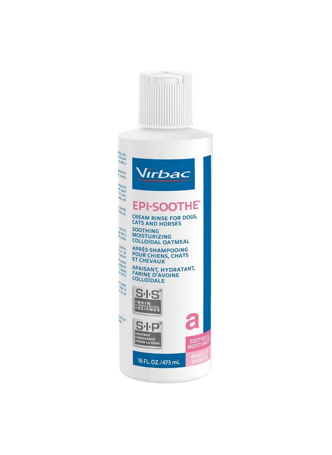EpiSoothe Cream Rinse Pet Conditioner For Dogs, Cats & Horses (16 Oz)  For Dry Or Sensitive Skin - pzsku/Z3EB774D095E1D5089E8EZ/45/_/1726221556/cc951f42-e1b7-48da-bb1b-7c31979978b4