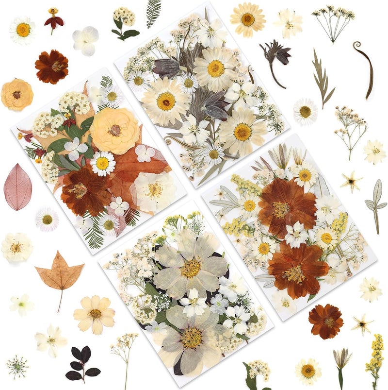LUXEEASE 100P Vintage White Dried Flowers for Crafts, Real Natural Pressed Flowers in Retro White Tones for Resin Art, DIY Crafts, Jewelry & Candle Decor – Tweezers Included - Image 1