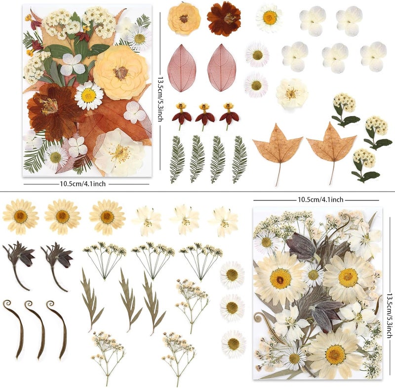 LUXEEASE 100P Vintage White Dried Flowers for Crafts, Real Natural Pressed Flowers in Retro White Tones for Resin Art, DIY Crafts, Jewelry & Candle Decor – Tweezers Included - Image 2