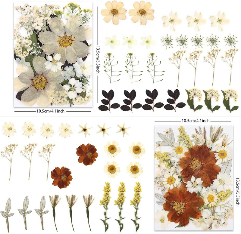 LUXEEASE 100P Vintage White Dried Flowers for Crafts, Real Natural Pressed Flowers in Retro White Tones for Resin Art, DIY Crafts, Jewelry & Candle Decor – Tweezers Included - Image 3