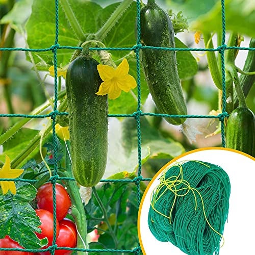 WORLD NET ENTERPRISE Plant Climbing Net & Creeper Support for Agriculture and Gardening Netting 10Feet X 5Feet - Image 1