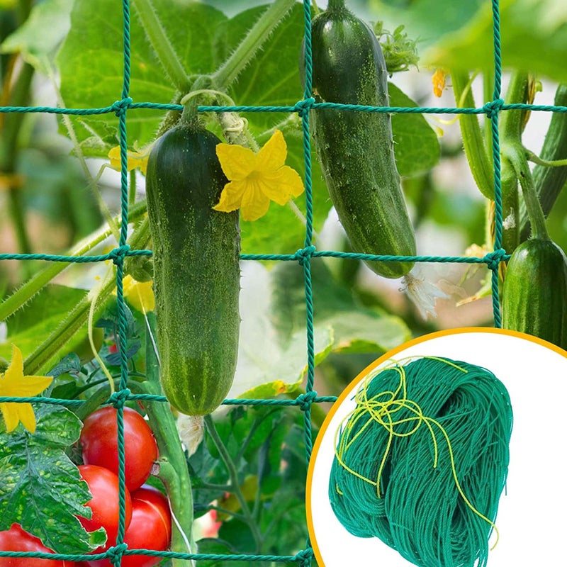 WORLD NET ENTERPRISE Plant Climbing Net & Creeper Support for Agriculture and Gardening Netting 10Feet X 5Feet - Image 5