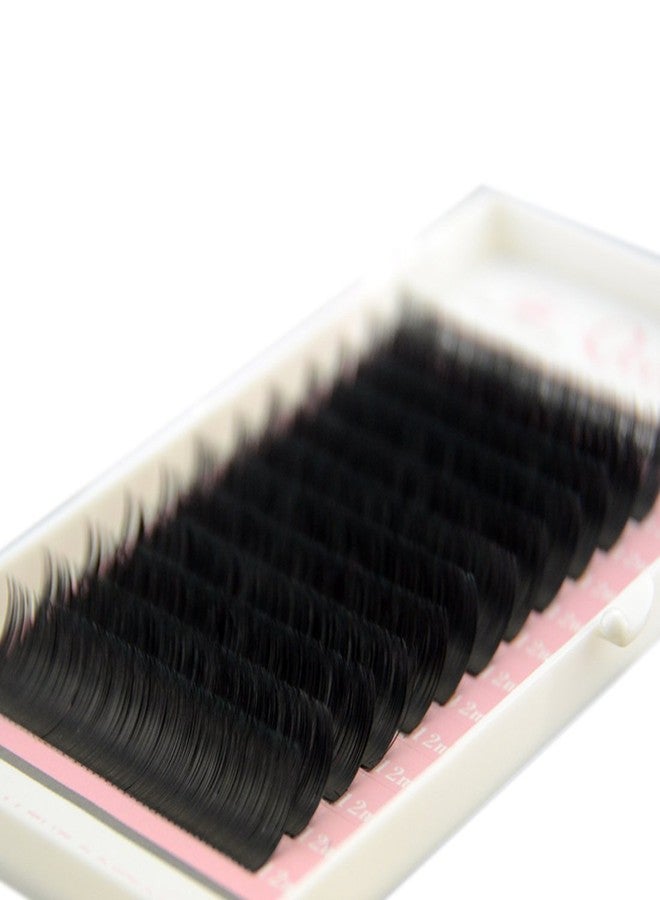 Qeelasee Ellipse Eyelash Extension 0.20mm D Curl 8mm Flat Eyelashes False Mink Individual Eyelash Extension Professional Salon Use - Image 1