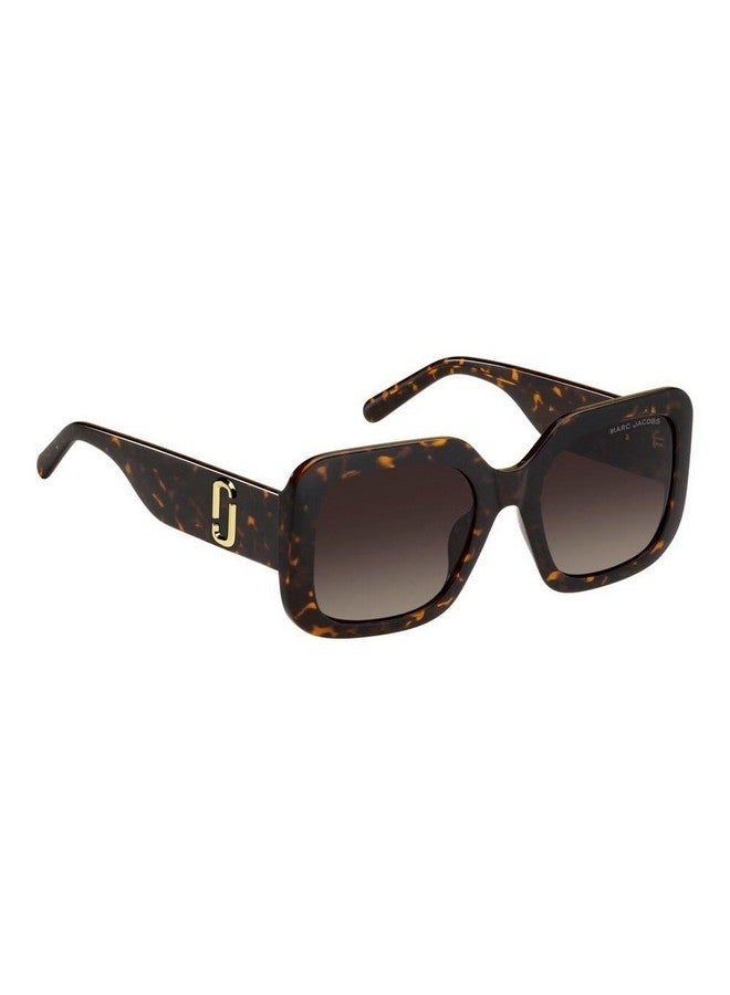 Marc Jacobs Marc 647S Dark Havanabrown Shaded 5321145 Women Sunglasses - Image 3