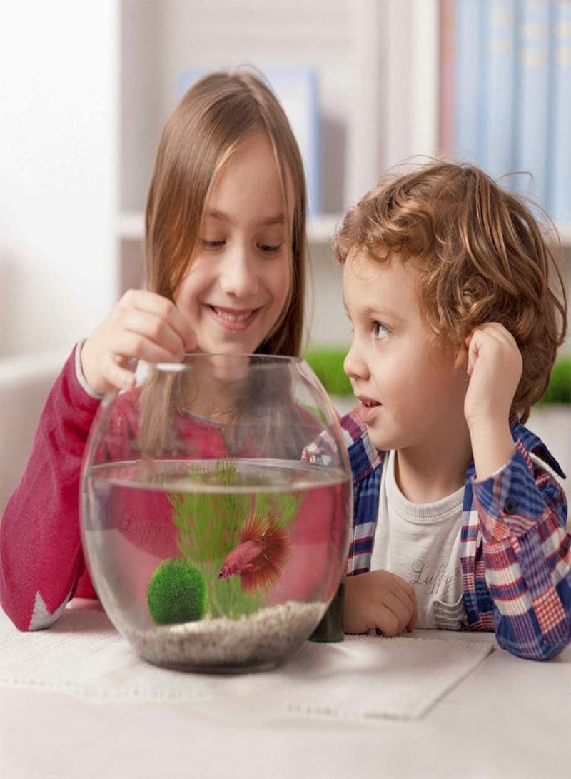 GGOOT seeds 3 4cm Marimo Moss Ball World's Easiest Live Aquarium Plant Aesthetically Beautiful Create Healthy Environment Eco Friendly Green - Image 2