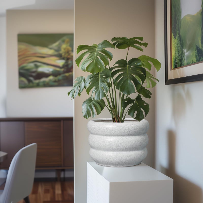 SQOWL Ceramic Planter Pot - 10 Inch Plant Pot with Drainage Hole Large Planter for Indoor Plants Outdoor Flower Pot Decorative Plant Pot for Garden Bathroom Decor White - Image 5