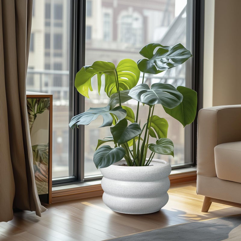 SQOWL Ceramic Planter Pot - 10 Inch Plant Pot with Drainage Hole Large Planter for Indoor Plants Outdoor Flower Pot Decorative Plant Pot for Garden Bathroom Decor White - Image 2
