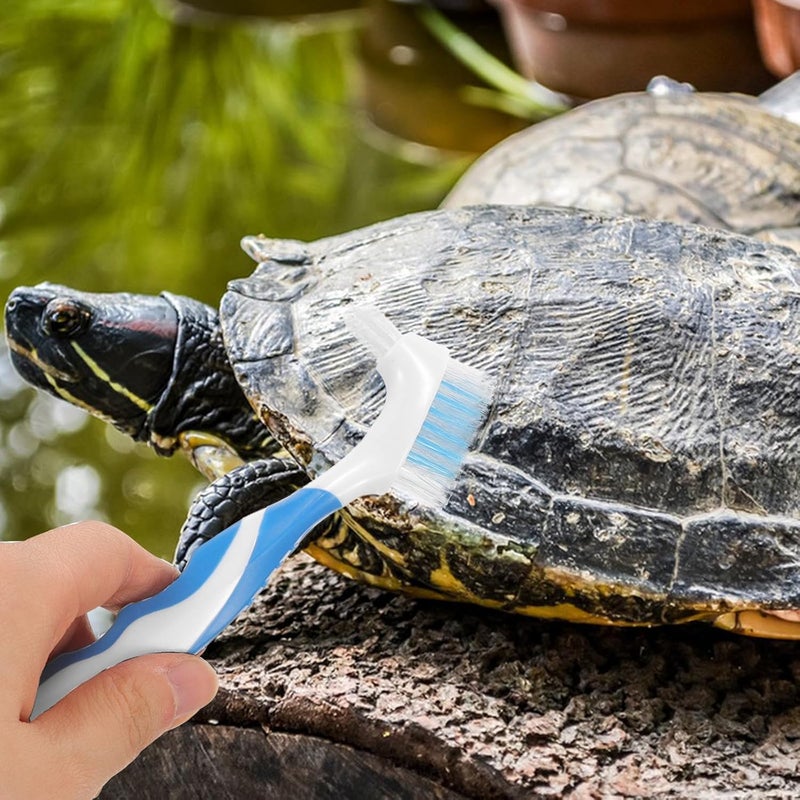 2pcs Turtle Shell Cleaning Brush for Aquatic Turtles Mini Household Dirt Remover with Bristles and Shell Maintenance - Image 4
