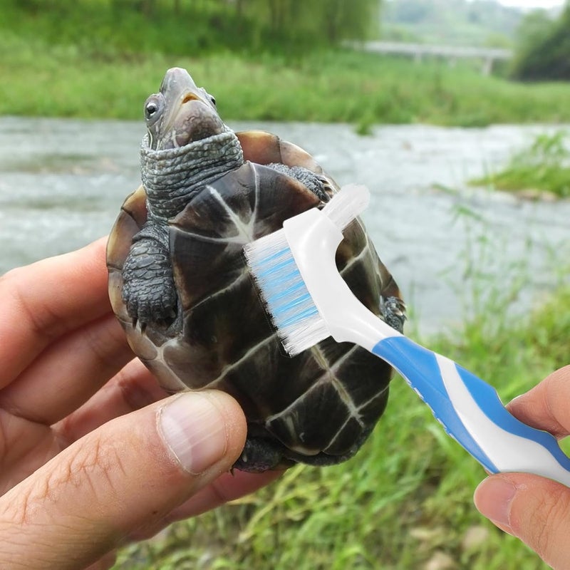2pcs Turtle Shell Cleaning Brush for Aquatic Turtles Mini Household Dirt Remover with Bristles and Shell Maintenance - Image 5