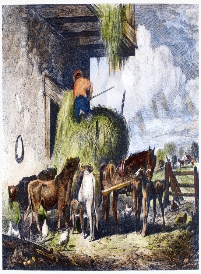 بوستيرازي إطعام الماشية 1873 مزارع يطعم الماشية القش نقش خشبي أمريكي 1873 ملصق مطبوع (18 × 24) - Image 2