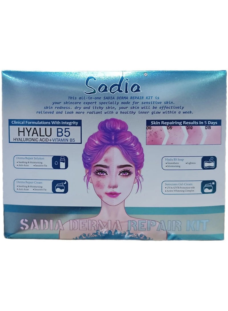 Derma Repair Kit Hyalu B5 Hyaluronic Acid And Vitamin C