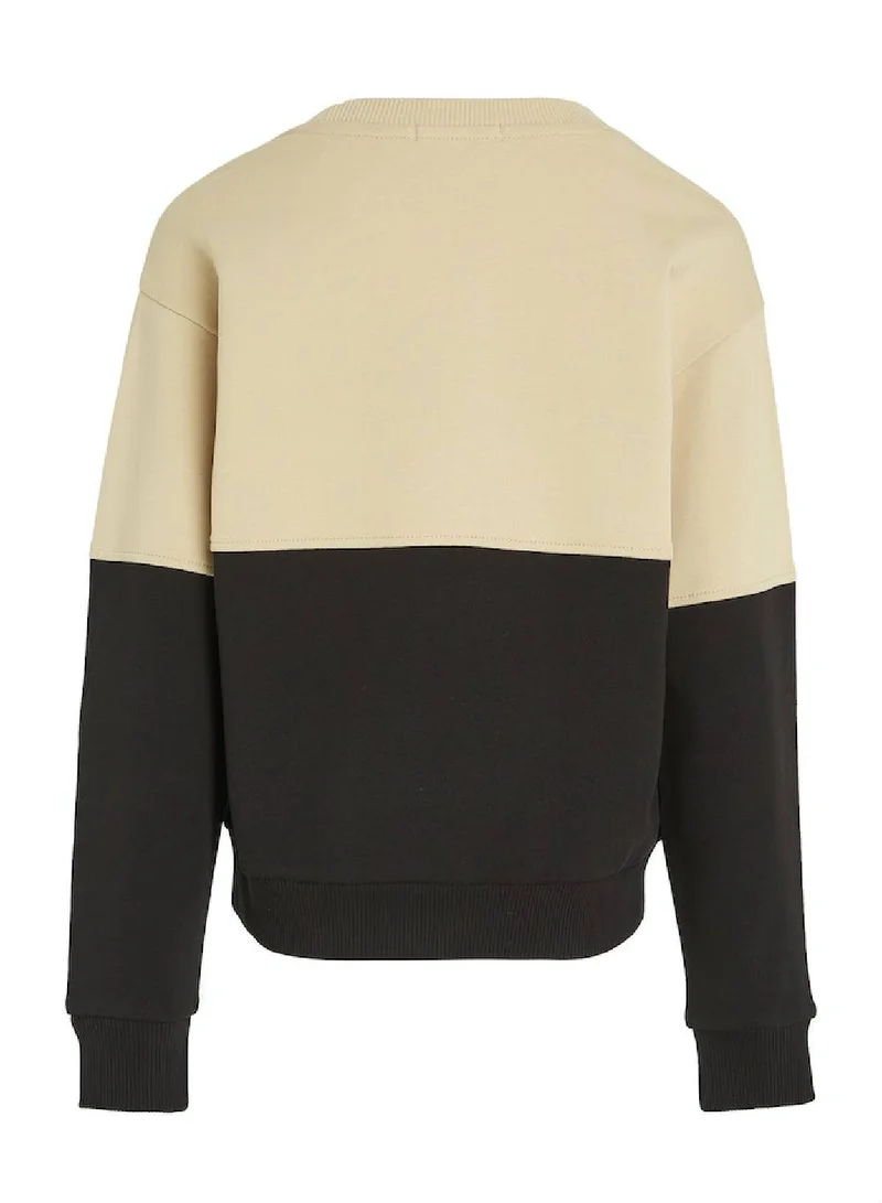 Calvin Klein Jeans Color-Block Crew Neck Sweater