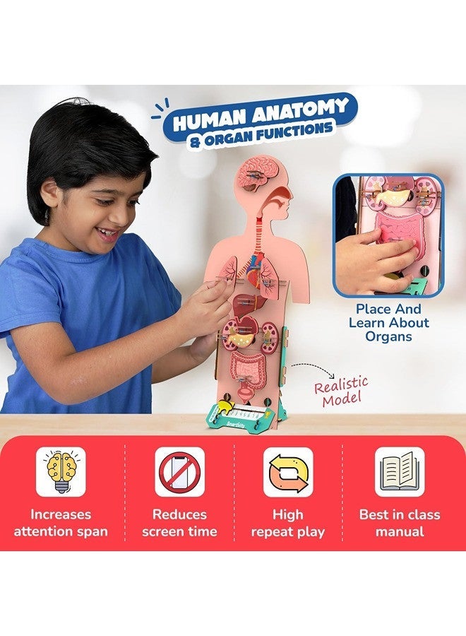 Smartivity Germ Buster DIY S.T.E.M Educational Toy for Kids (Ages 6–14) – Learn Human Anatomy & Organ Functions | Mechanical Model Kit | Screen-Free Creative Play | Sustainable Wood Construction - Image 2