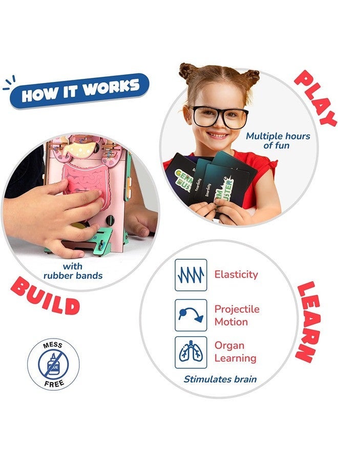 Smartivity Germ Buster DIY S.T.E.M Educational Toy for Kids (Ages 6–14) – Learn Human Anatomy & Organ Functions | Mechanical Model Kit | Screen-Free Creative Play | Sustainable Wood Construction - Image 3