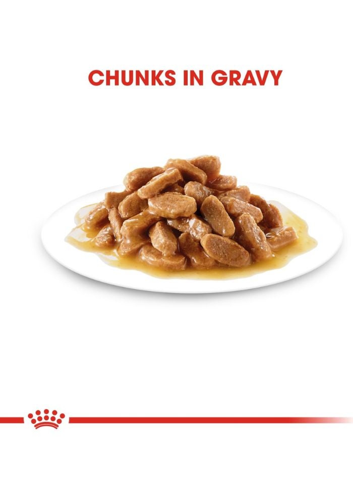 ROYAL CANIN Size Health Nutrition Medium Puppy (WET FOOD - Pouches) 10 x 140g - Image 2