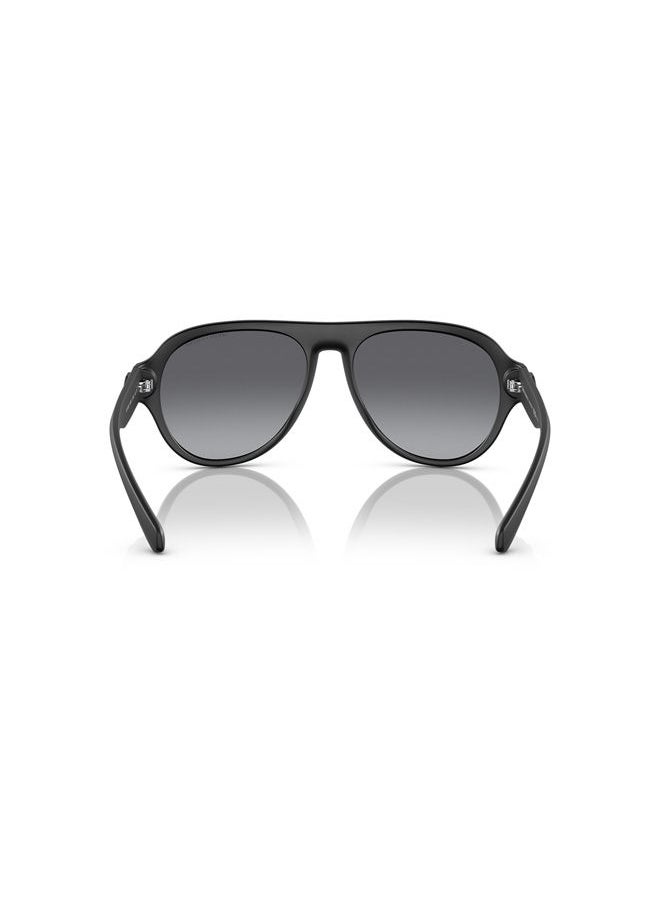 Armani Exchange - Full Rim Oval Sunglasses 4126SU-58-8078-T3 - Image 1
