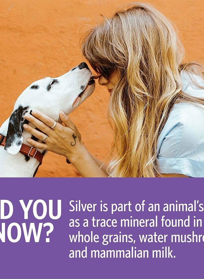 Sovereign Silver Bio-Active Silver Hydrosol for Pets Immune Support, 16 oz.
