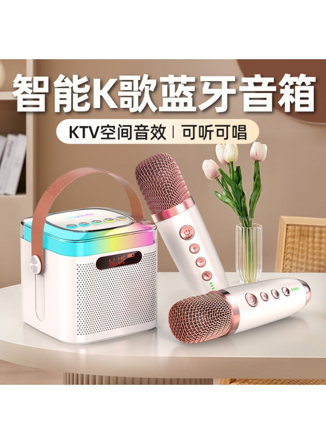 Microphone Audio Integrated Home Suit Portable Microphone Speaker Wireless Bluetooth Universal Karaoke Children's Family Ktv - Image 4