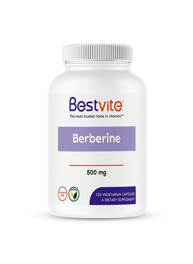 BESTVITE Berberine 500mg (120 Vegetarian Capsules) - No Fillers - No Stearates - No Flow Agents - Vegan - Gluten Free - Non GMO  - Image 1