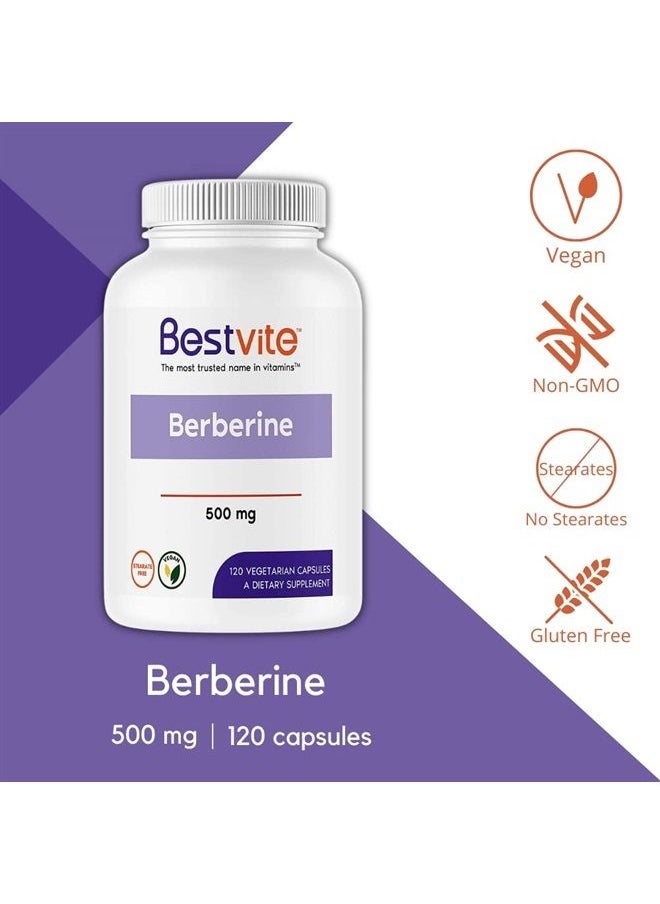 BESTVITE Berberine 500mg (120 Vegetarian Capsules) - No Fillers - No Stearates - No Flow Agents - Vegan - Gluten Free - Non GMO  - Image 3